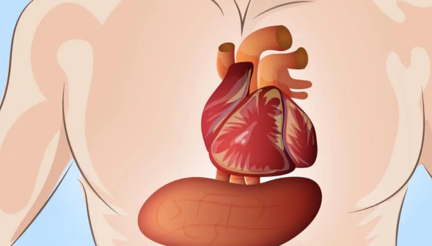 Herzinfarkt: 6 Symptome, die Warnzeichen sind